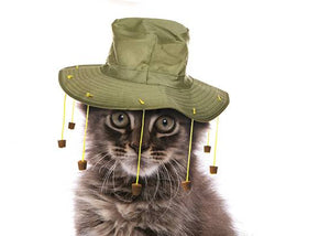cat in Australia Day cork hat