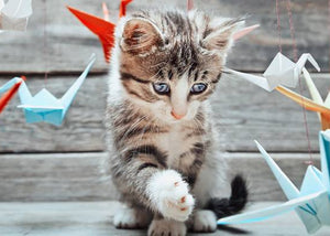 cute kitten playing with paper cranes