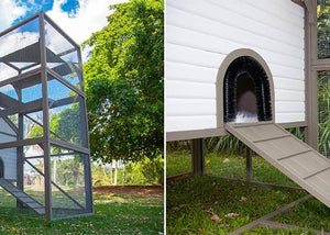 Cat Enclosures