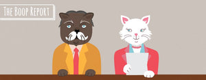 the boop report - cat news|