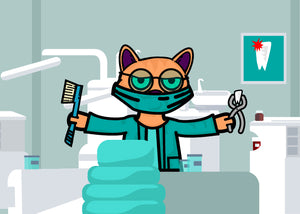 Cat dentist