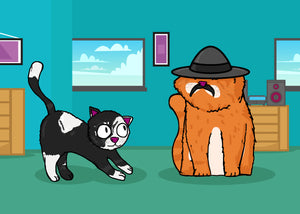 Old cat and young cat