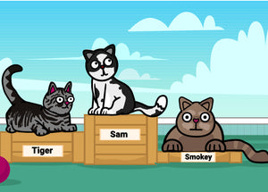 Popular cat names