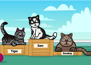 Popular cat names