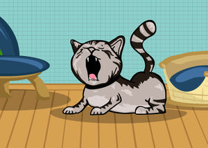 Why Is My Kitten Sneezing?