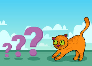 Questions about cats