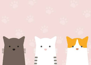 cat coat colours and patterns
