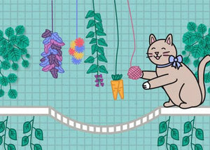 cat with hanging cat toys in cat run