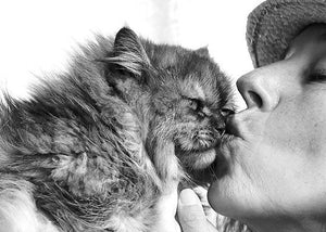 cat lovers kissing cat