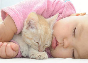 Affectionate Cat With Baby