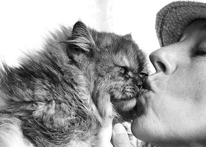 Woman kissing pet Persian cat